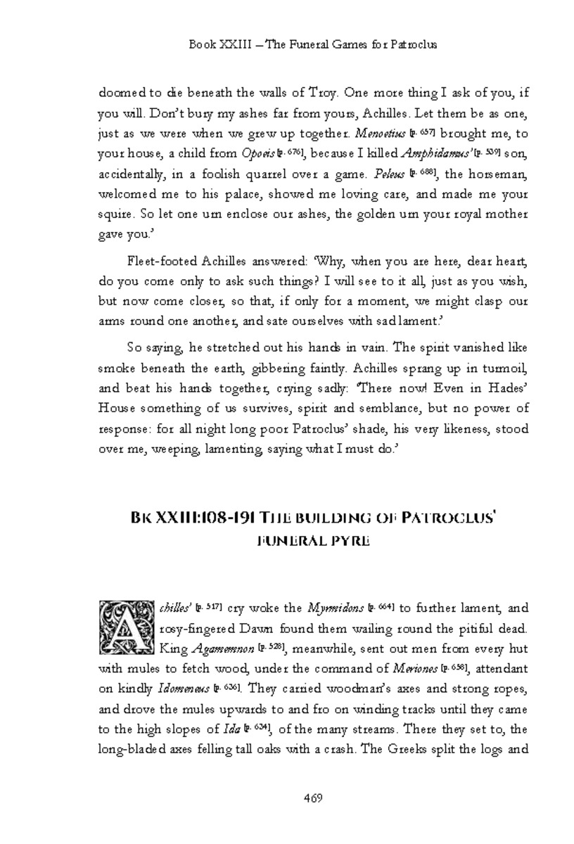 The Iliad - Page 463
